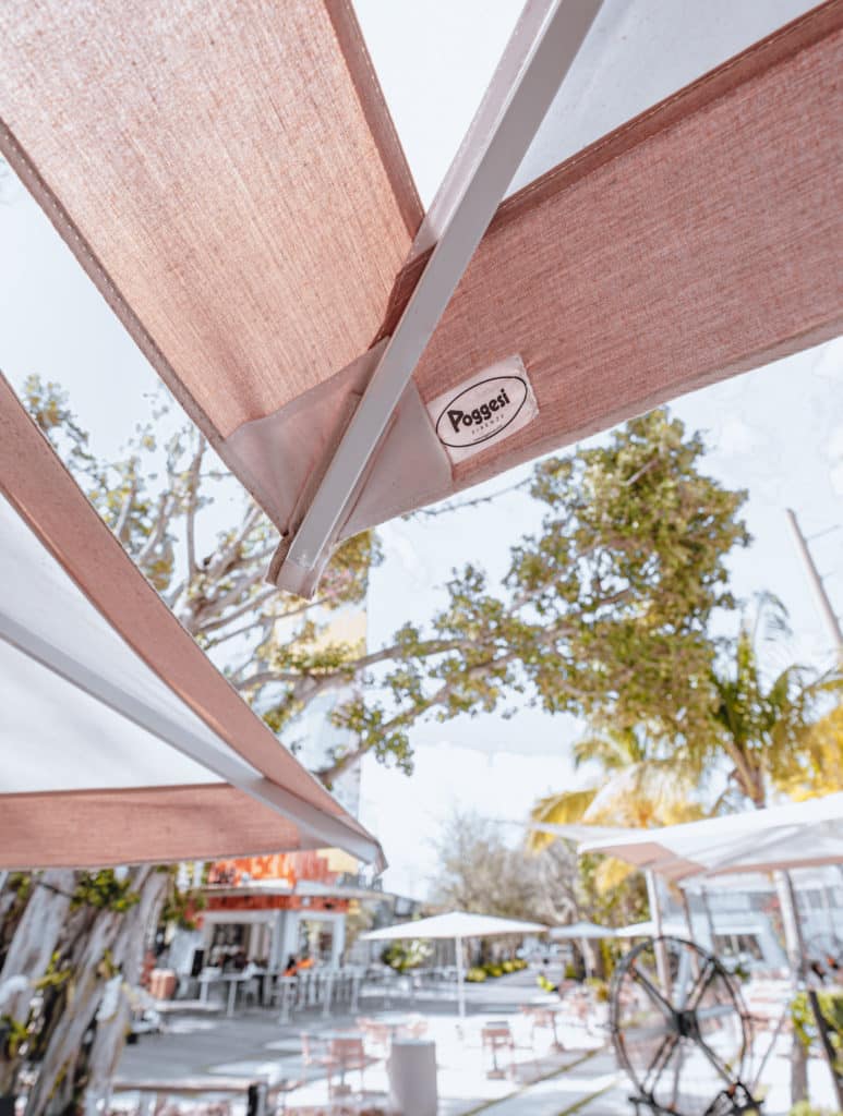 Oasis Wynwood