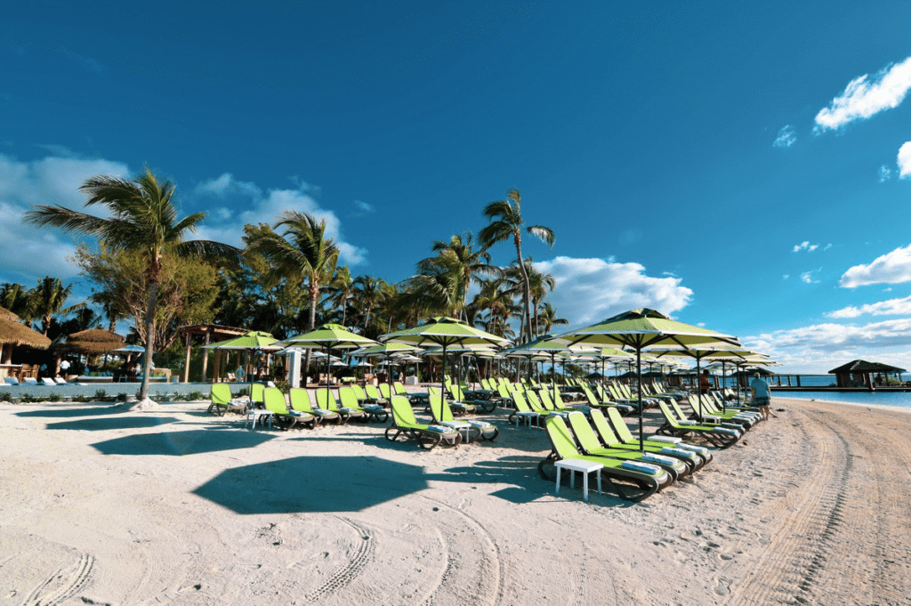 Outdoor Beach Umbrellas