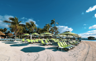 Outdoor Beach Umbrellas